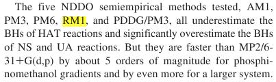 rm1 NDDO semiempirical methods